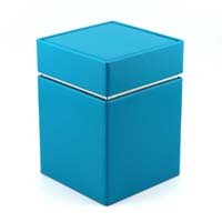 Dose eckig mint - 100g