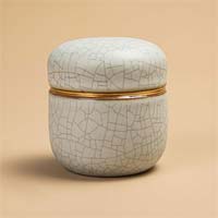 TEANAGOO Keramik-Matcha-Tee-Behälter - Elfenbeinweiss