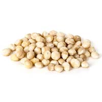 Macadamia-Nüsse - Bio